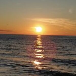 andrea_feltner avatar