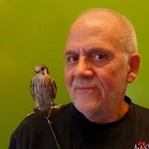 knud_steensborg avatar