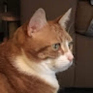 tinavanantwerp avatar