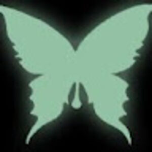 knutbreitschuh avatar