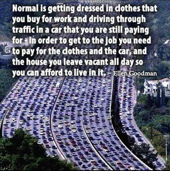And The Years You Spent In School To Get That Job So U Can Pay Student Loan Interest For The Rest Of Your Life. Who’s Idea Was All This?