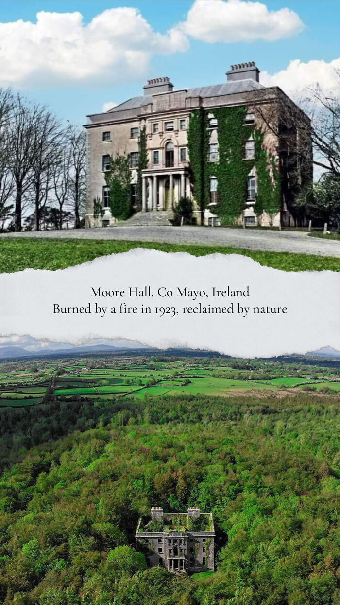 Old photo of Moore Hall before and after nature overgrew it post-1923 fire, Co Mayo, Ireland.