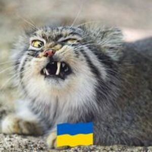 carolinadancer1_1 avatar