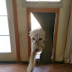 stuarthhaddock avatar