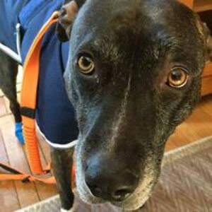 aliciasphotosstun avatar