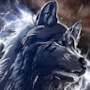 autisticwolf avatar