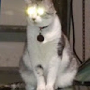 raunoldsmithers avatar