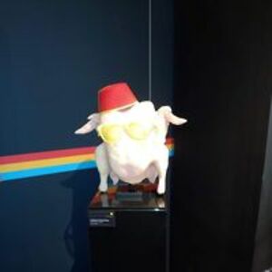 cassandra_alt avatar