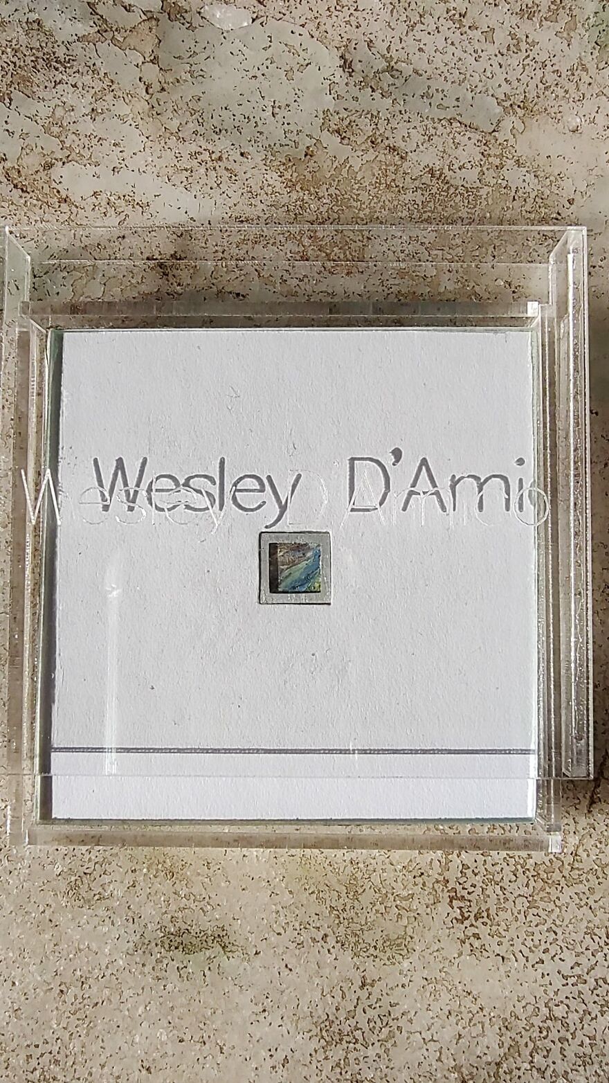 &ldquo;The Most Expensive Paintings In The World Can Be Smaller Than A Coin.&rdquo;