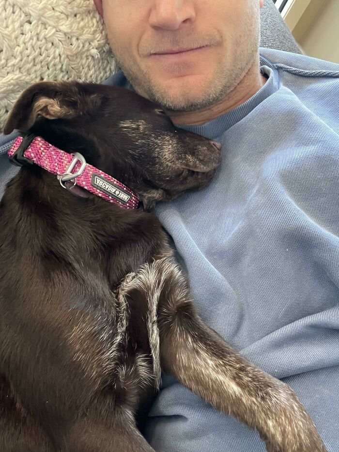 Felicidad es que un cachorro adoptado se quede dormido en tu pecho un sábado por la mañana