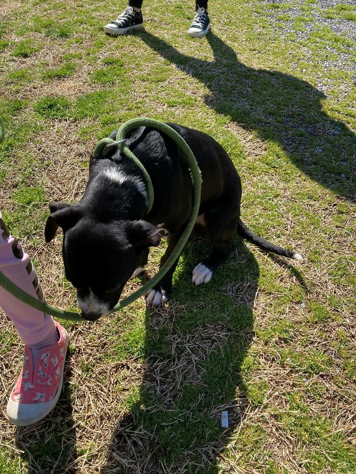 Guess Who’s Getting Adopted On Thursday!