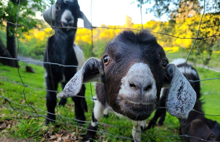 I Hope This Picture My Son Took Brings A Smile To Your Face Like It Did Me