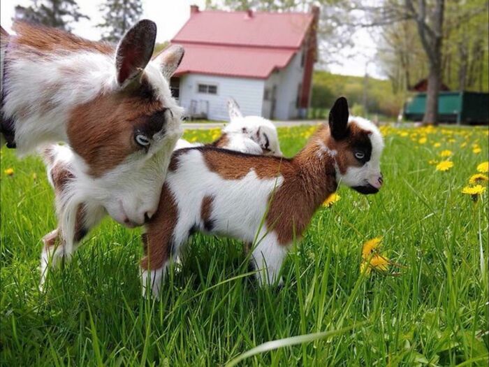 My Beautiful Baby And Her Mom