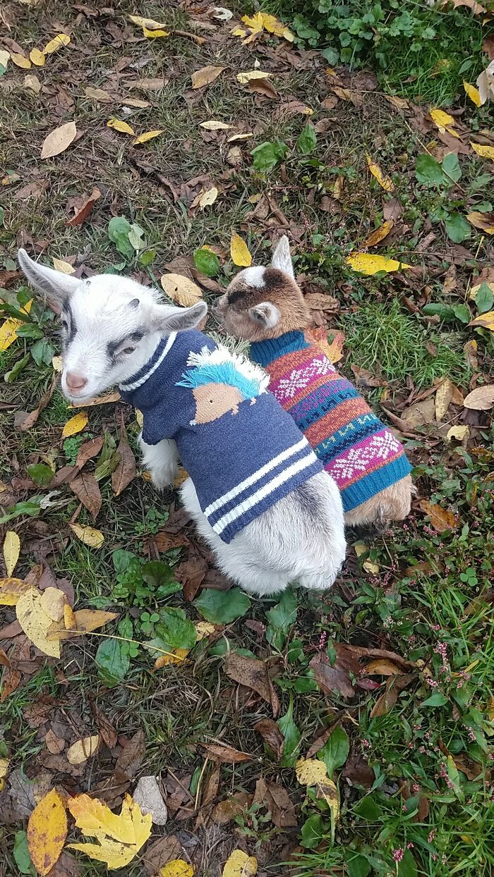 Sweater Weather