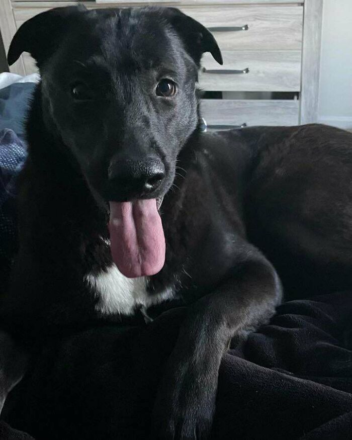 My Adopted Boy Chief (Ft. Aunty Mabel)