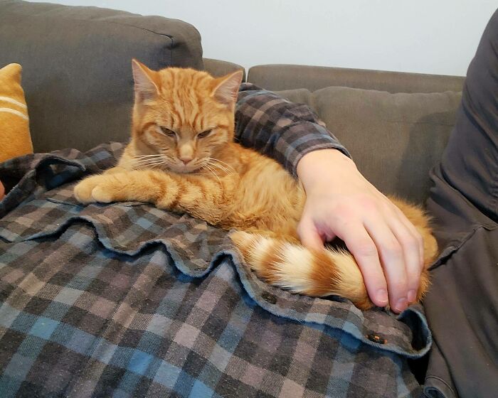 Toby Got To Leave The Animal Shelter Today To Come To A New Home. My Home. He Seems To Be Settling In Just Fine