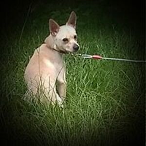 genanunez4896 avatar