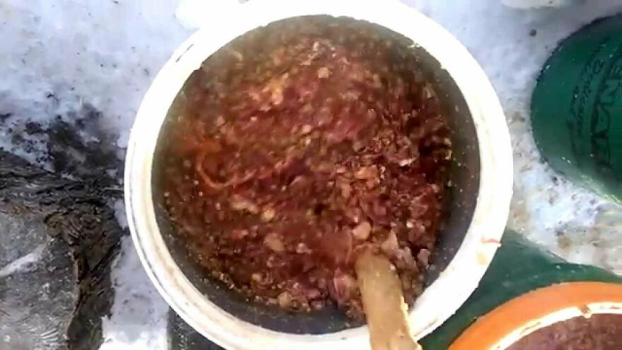 Here Are Some Photos Showing Happy Doggos And Mushers At This Year's Iditarod (12 Pics)