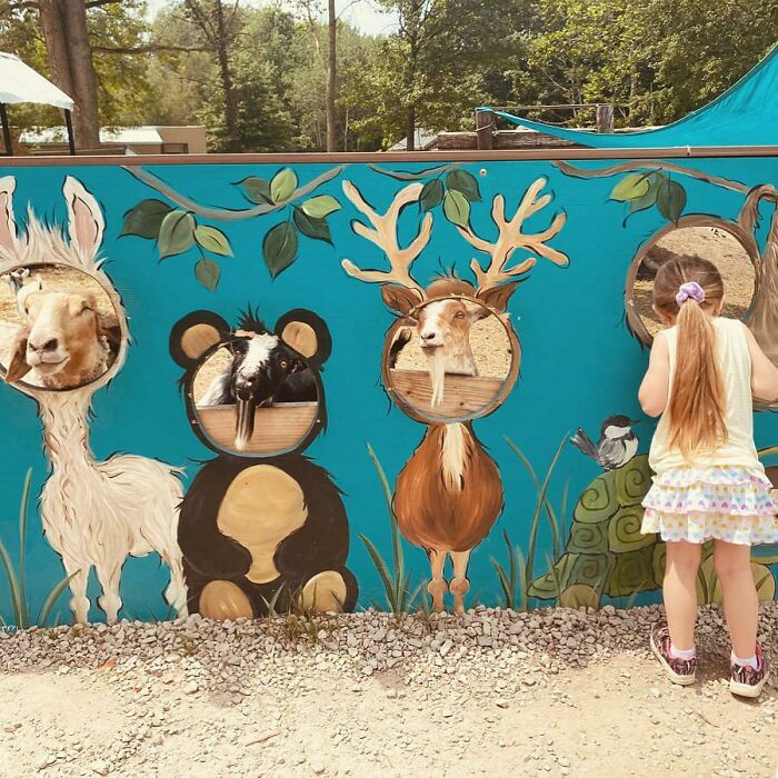 Took My Niece To The Zoo Today. At This Very Moment, She Was Looking For The Goats. They Got’er Good