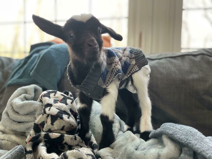 Most Of The Babies This Year Have Been Black And White. This Little Girl Has Her Moms Blue Eyes