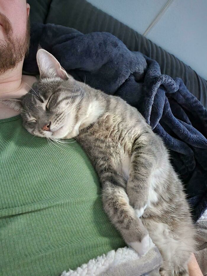 Este es Ragnar. "Está demasiado asilvestrado para ser adoptado"