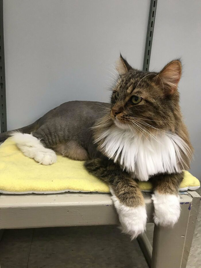 Lo sacamos de un refugio local