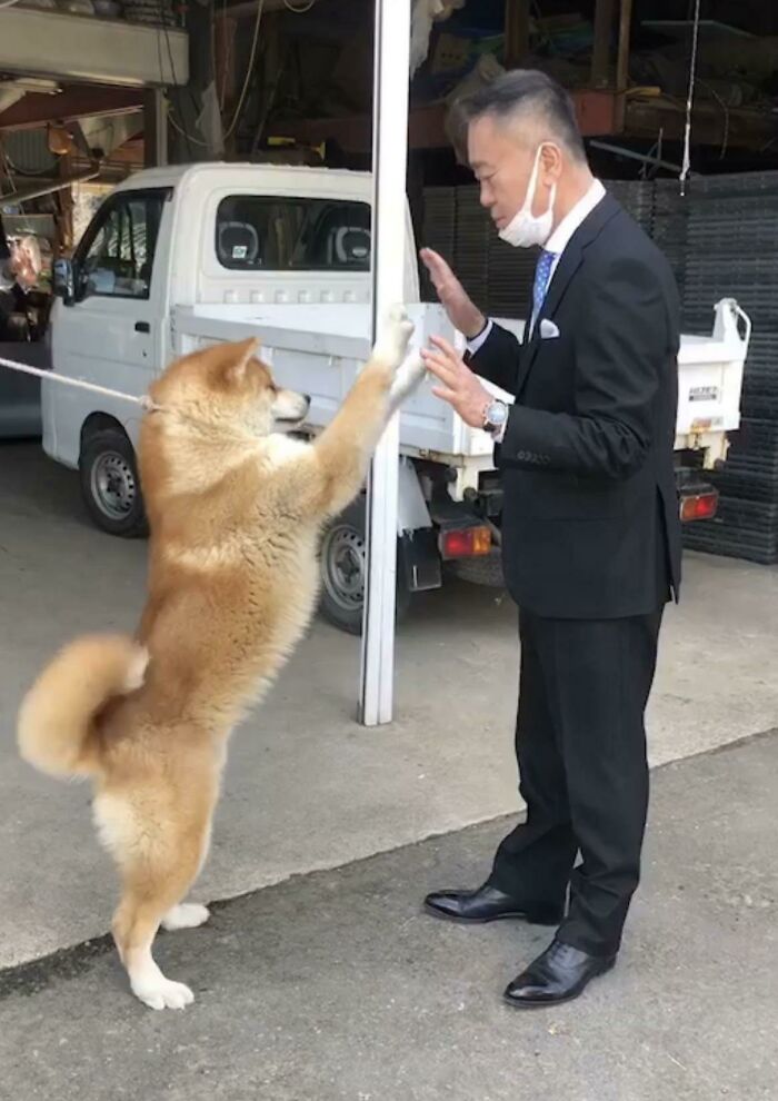 Cuando mi padre fue a adoptar un perro, decidió vestirse bien para impresionarlo