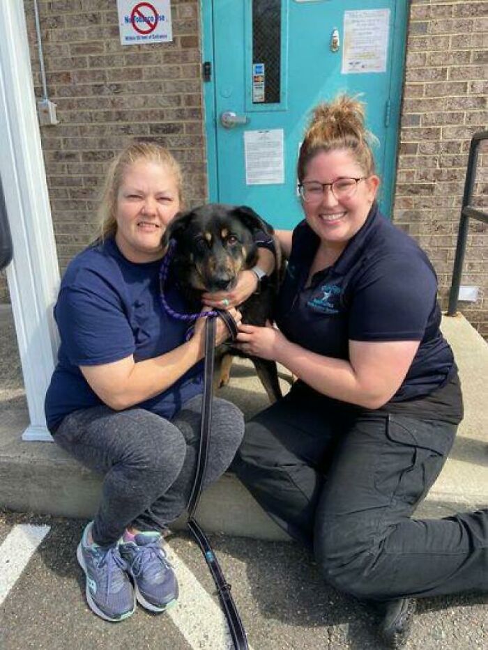 Un perro abandonado por ser "gay" es adoptado por una pareja de homosexuales