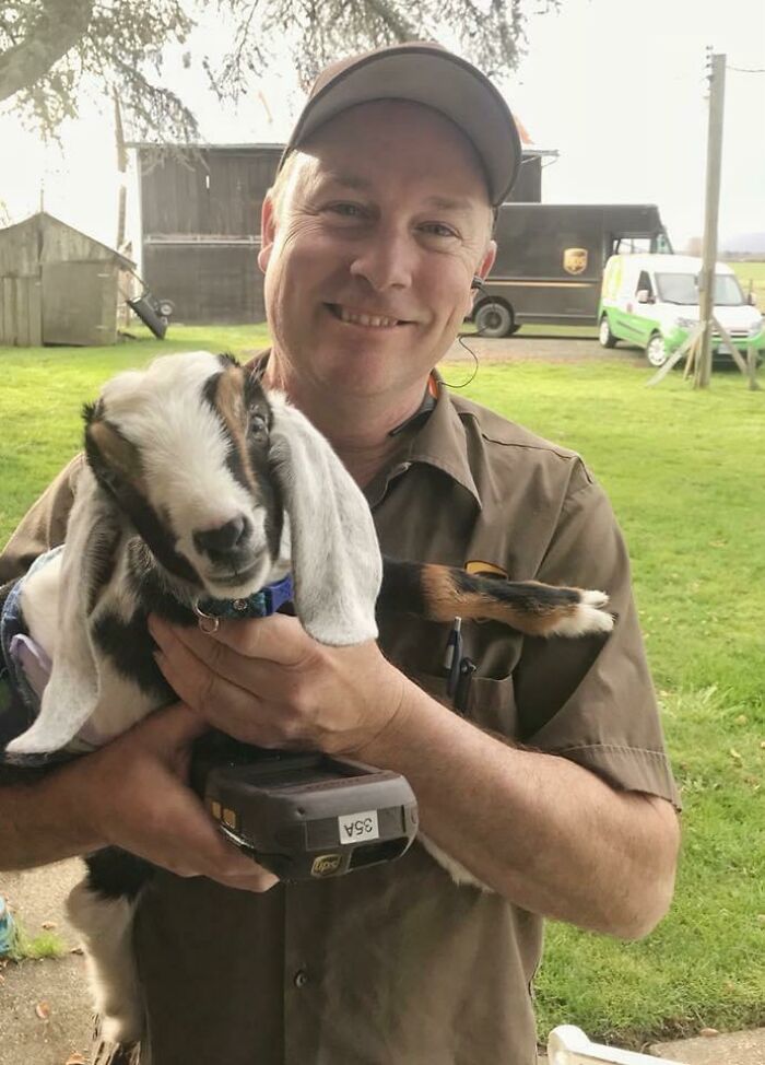 My UPS Guy Was Running Late And Looked Stressed So I Made Him Hold Dempsey. He Said It Was The Best Part Of His Day