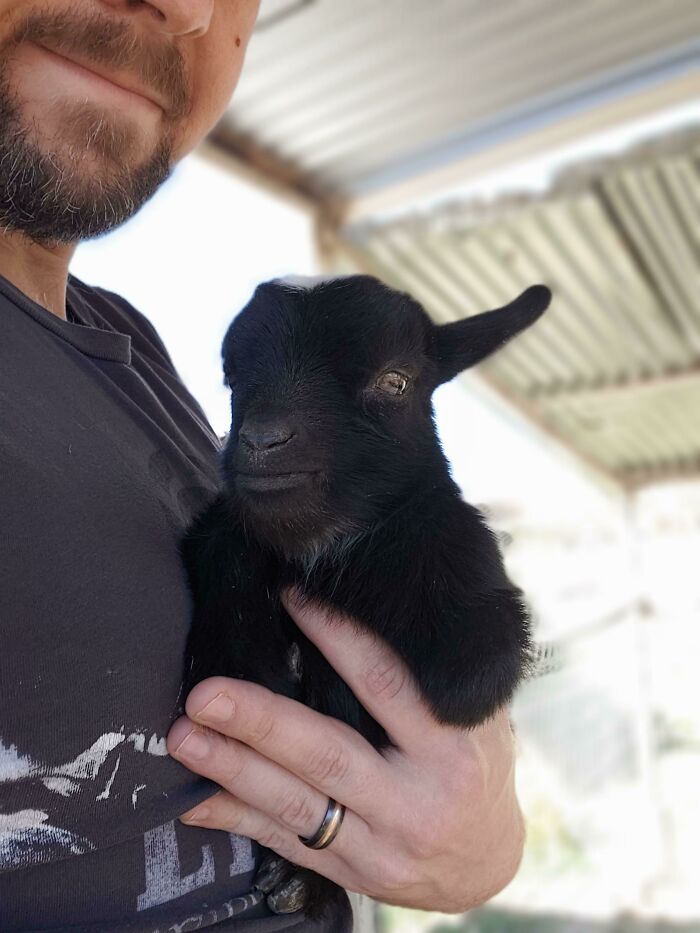 Moochelle Is Not Sure About You