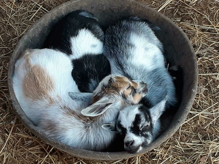 3 Of This Year's Babies