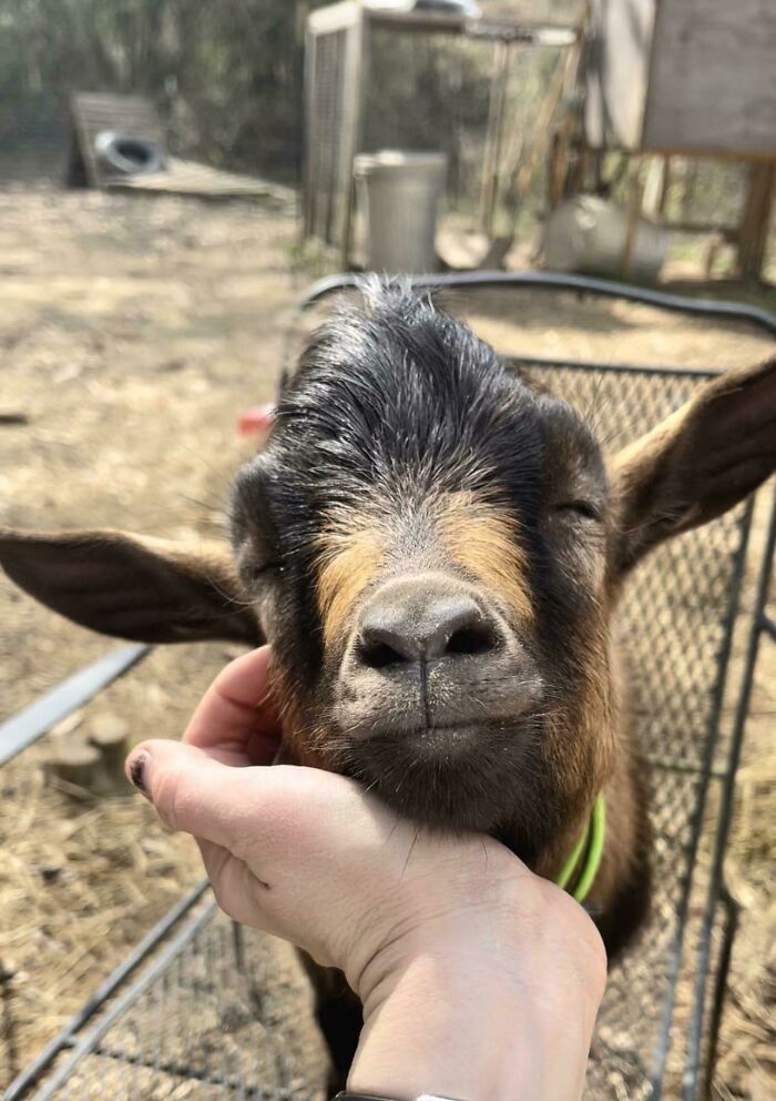 And This Is Why He’s My Favorite