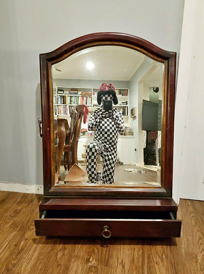 Dressing Up For The Occasion