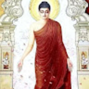 niranjanmadhusoodhan avatar