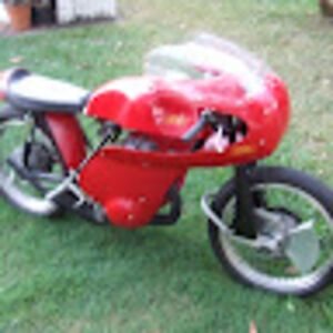 tonyedwards_1 avatar