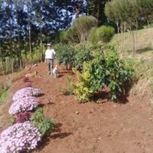 bobhatcher_mua avatar