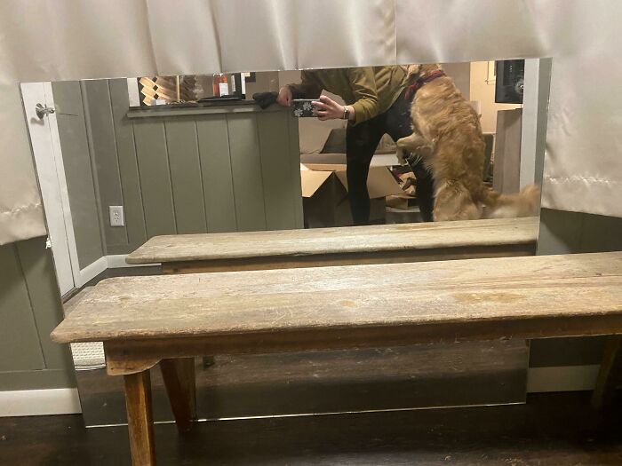 I Was Trying To Take A Picture To List My Own Mirror When Suddenly