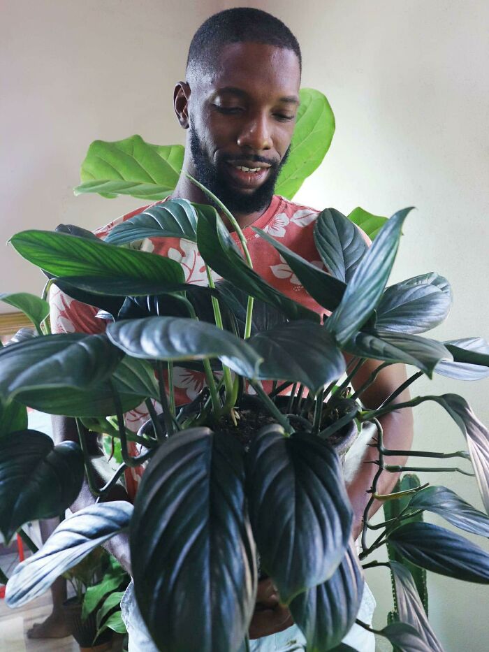 I Don't Know The Name Of This Plant But I Absolutely Love It