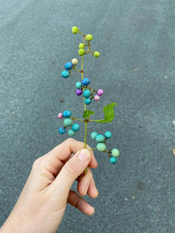 ¿Qué es esto tan enigmático?