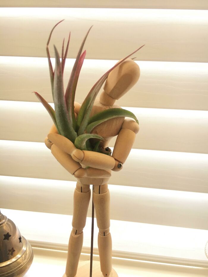 This Dude At A Calloway’s