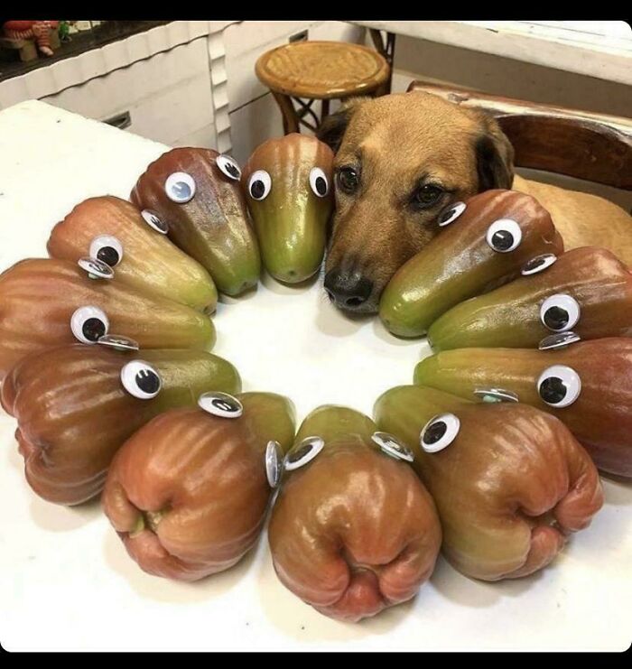 What Is This Fruit/Vegetable?