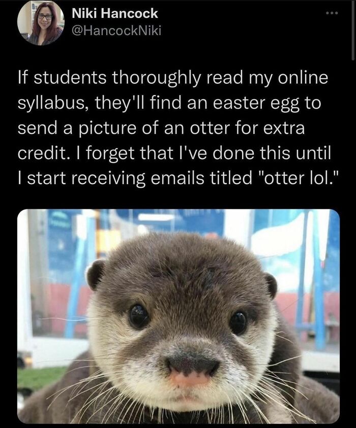 Otter Lol