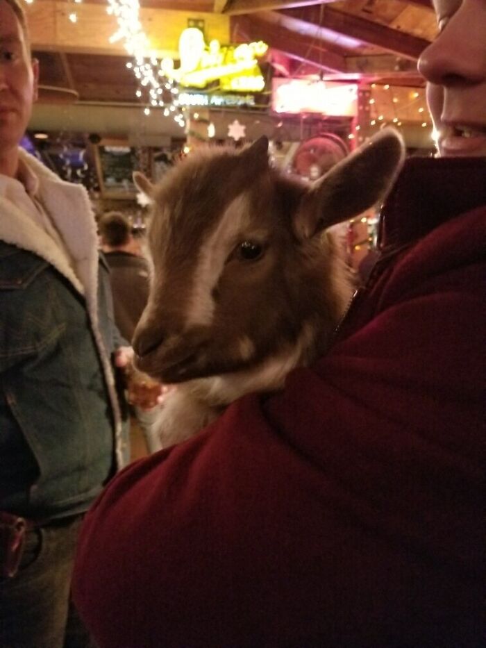 Hooked Up With This Kid At A Bar On Nye