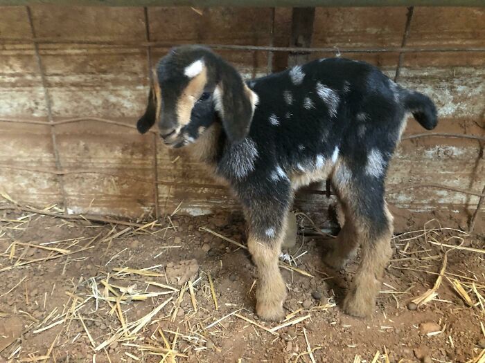 What Should We Name Her?