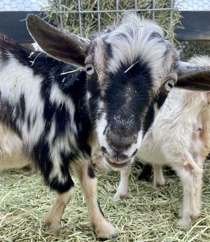 Bruuce Says What’s Up Guys?!