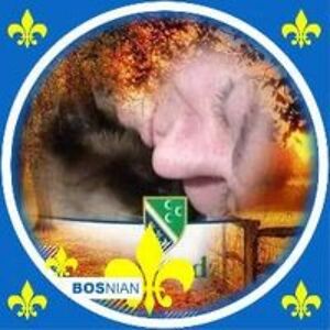 white_wolf3690 avatar