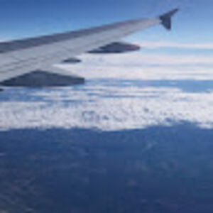 beatrizsaldivar avatar