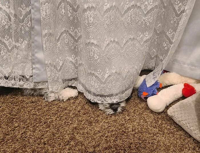 We Don't Talk About Willie. Oh No No