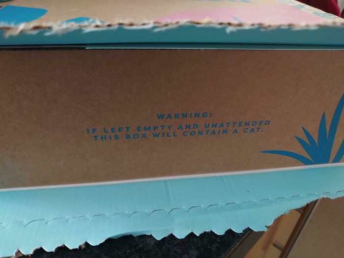 On The Box Of Subscription Cat Food I Got Today