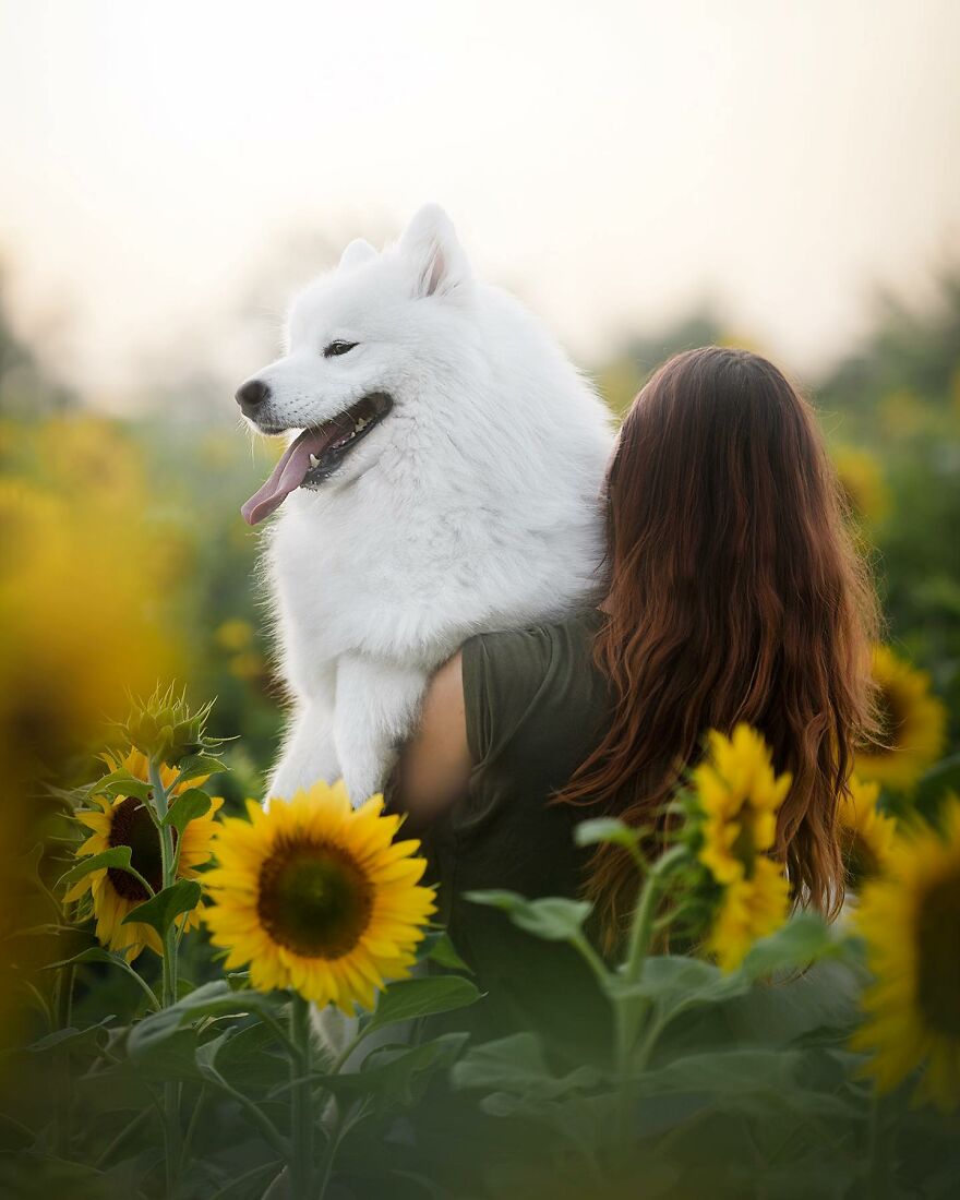 25 Of The Best Dog Photos I’ve Ever Taken - Nikol Kopp